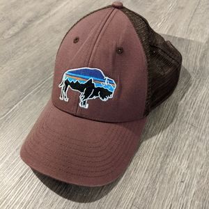 Patagonia Trucker Hat